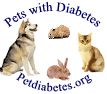 Pets with Diabetes