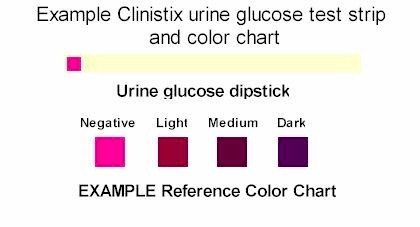 clinistix.jpg (15605 bytes)