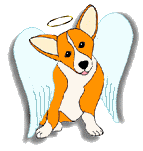 Little dog angel