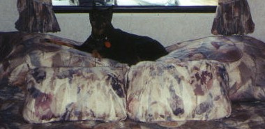 Vinnie on his bed